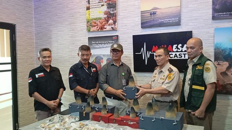 WN Tiongkok jadi Tersangka Perdagangan Cula Badak di Manado
