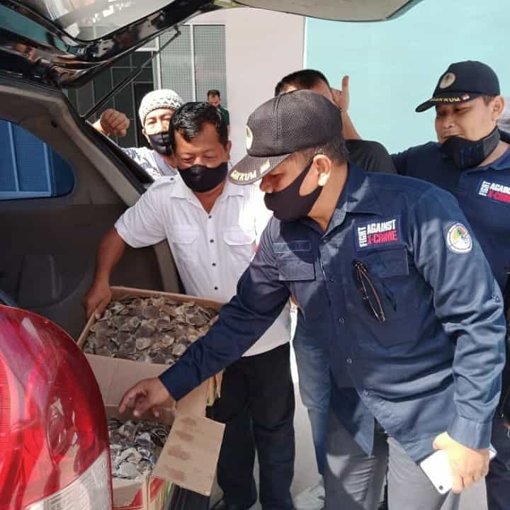 Perdagangan 14 Kg Sisik Trenggiling Digagalkan KLHK dan Polri