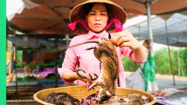 Cegah Resiko Pandemi Baru, Vietnam Larang Perdagangan Satwa Liar