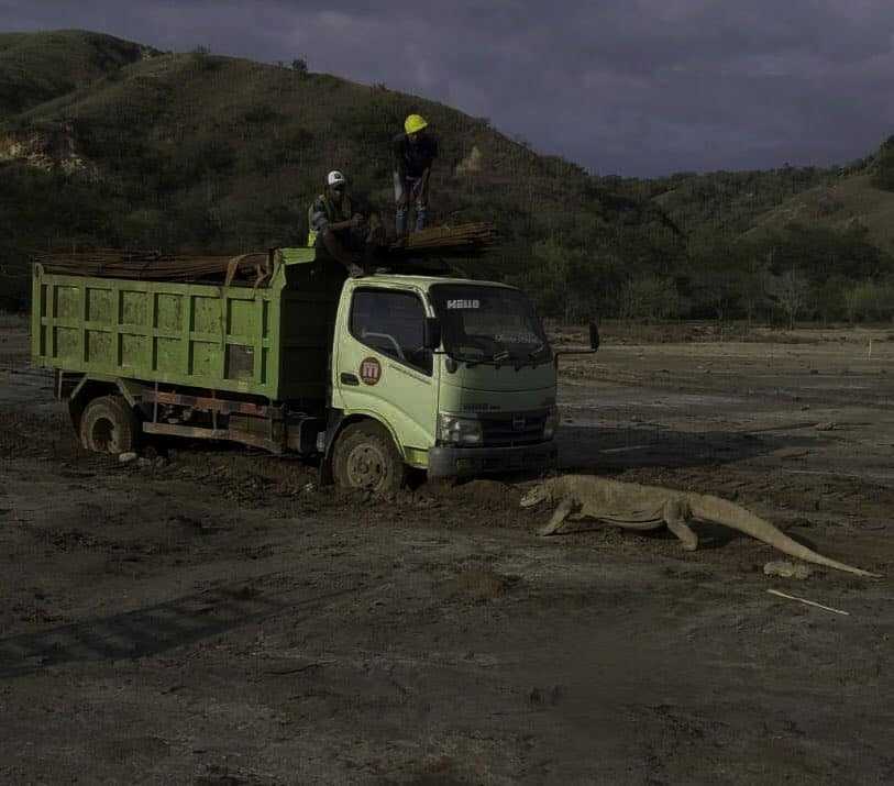 Polemik Pembangunan 'Jurrasic Park' di Taman Nasional Komodo