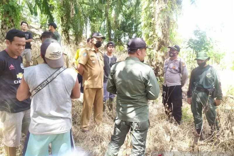 Tidak Menemukan Bukti Keberadaan Harimau, BKSDA Bengkulu Belum Pasang Perangkap