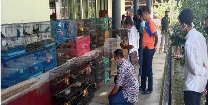Gakkum KLHK Kalimantan Menggerebek Penampungan Burung