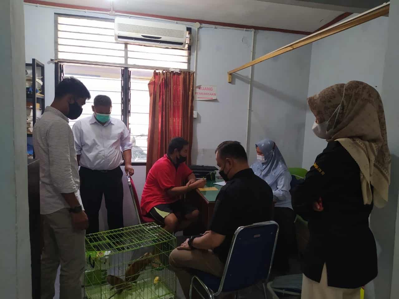 Tertangkap Berjualan Kukang, Warga Sumbar Terancam 5 Tahun Penjara