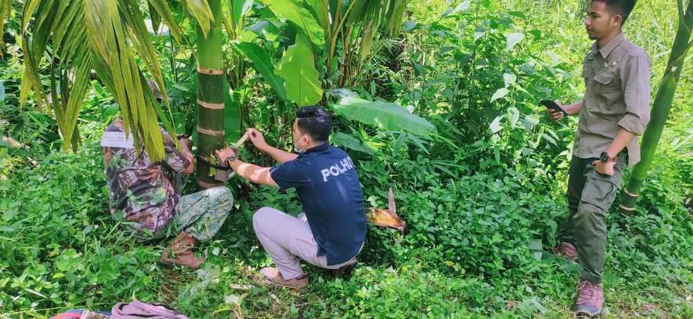 Warga Mengaku Bertemu Beruang Madu, BKSDA Jambi Pasang Kamera Trap