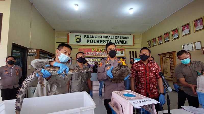 Iklan